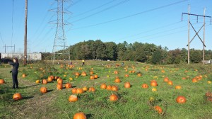 Photo Credit: Al Vardaro