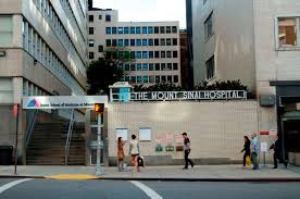 Mount Sinai Hospital Image Credit: himetop.wikidot.com