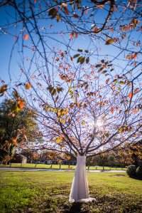 One of my all-time favorites.