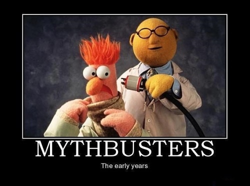 muppet-mythbusters