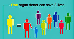 organ-donation