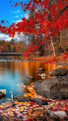 8cb5def8e137704d87de60f1f4ad7876