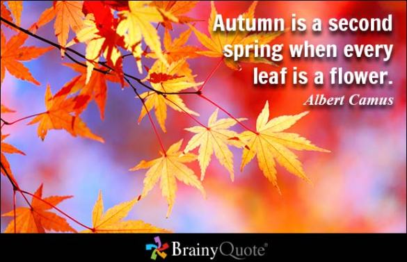 Fabulous-Autumn-Quotes