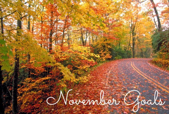 November Goals - Jen Russum