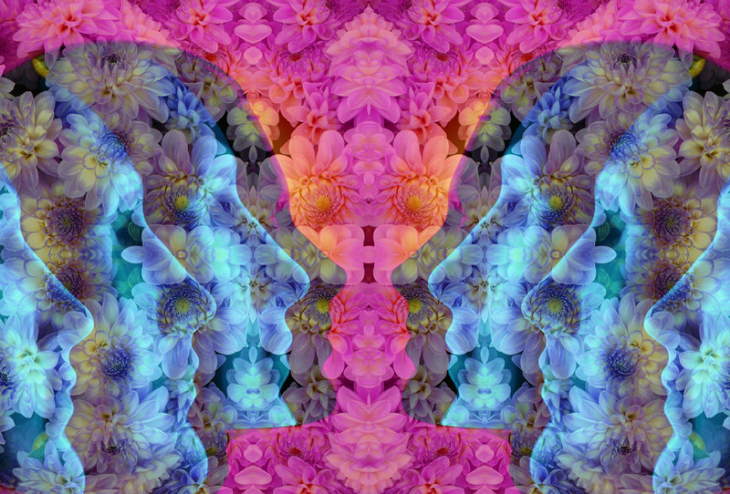 The New Science of Psychedelics