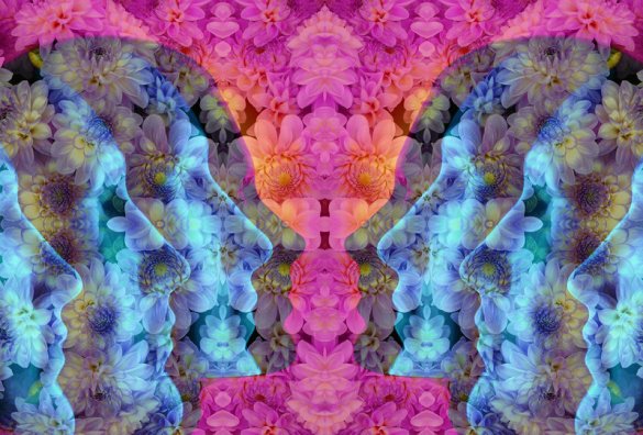 The New Science of Psychedelics