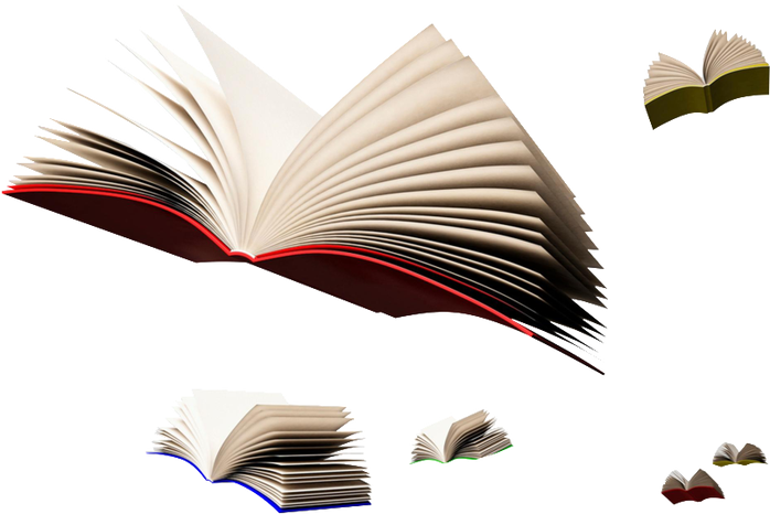 Traveling Blog Journal