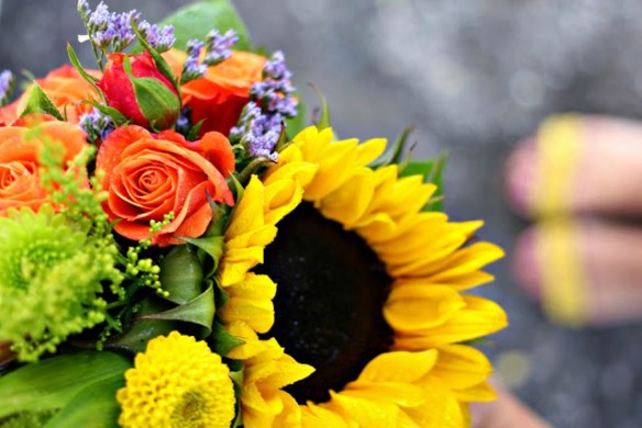 Picking Fall Flowers at the Flower Patch